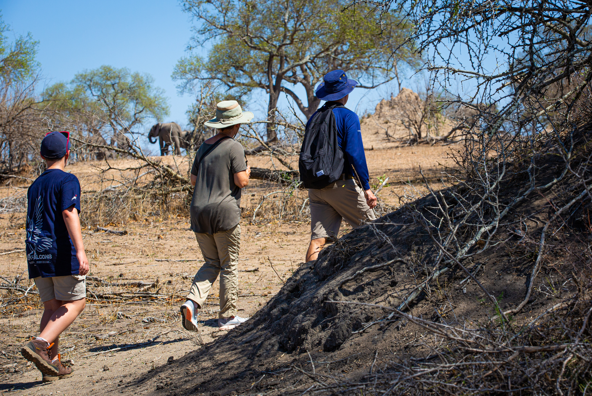 Exploring with elephants in the distance