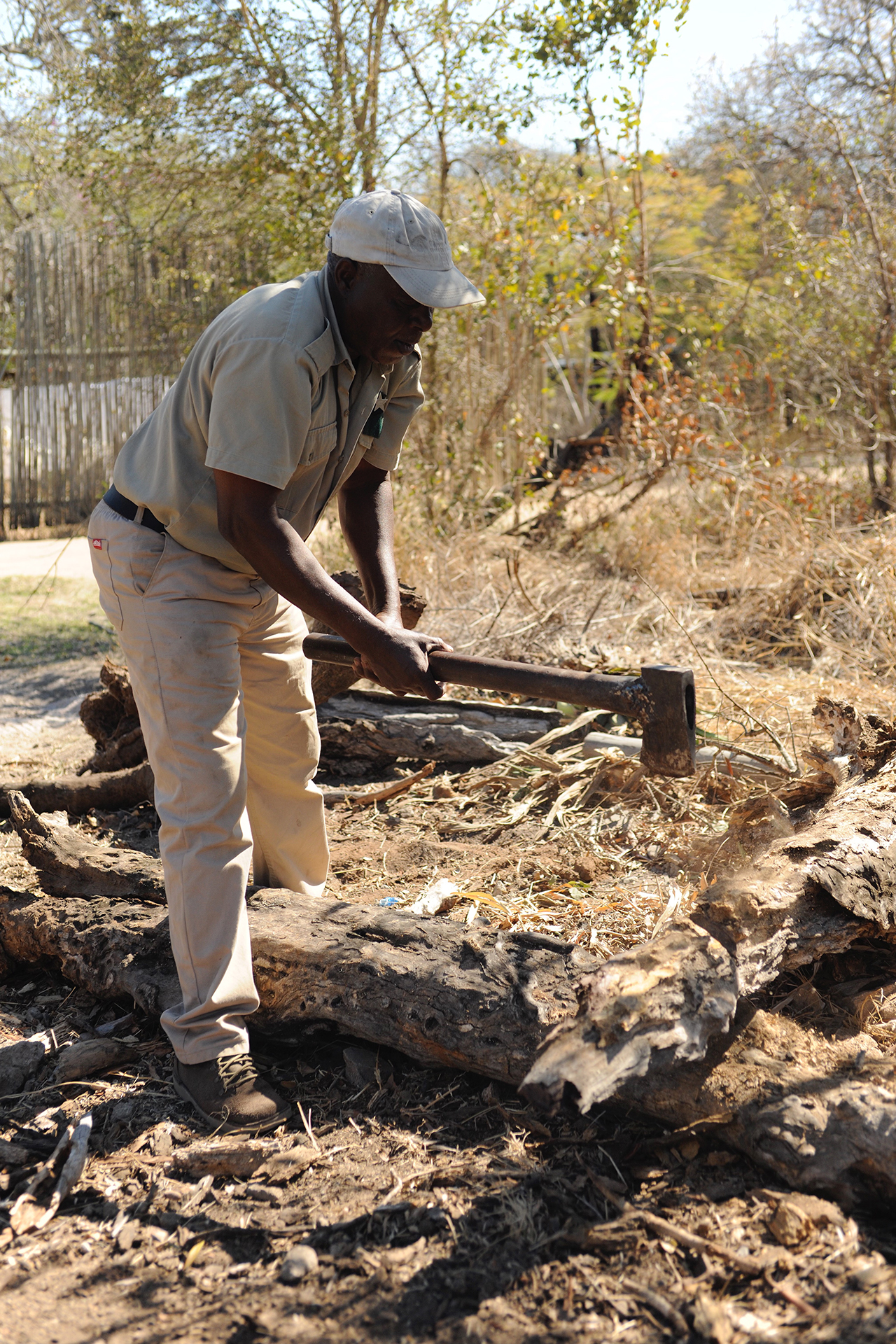 Alfred chopping wood